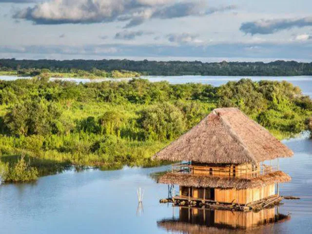 Colorful Macaw in Iquitos of the Peruvian Amazon.