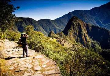 Birding in the high altitude jungle of Machu Picchu Sanctuar