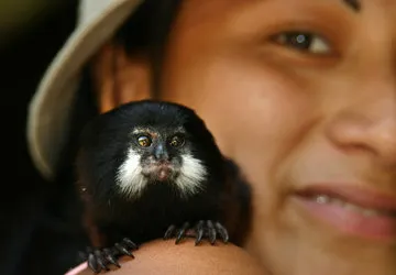 Iquitos in the Amazon of Peru