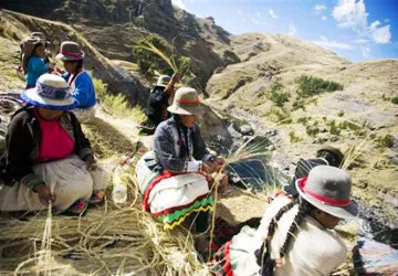 Weaving together the ichu grasses for the bridge