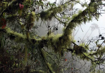 Hiking the Inca Trail to Machu Picchu in Peru