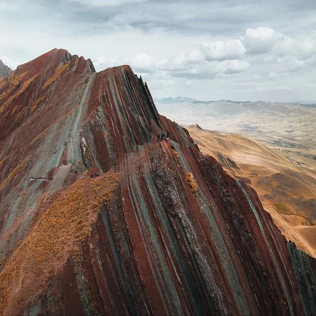 pallay punchu all the day