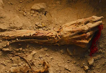 Hand of Wari noble clutching cloth fragment