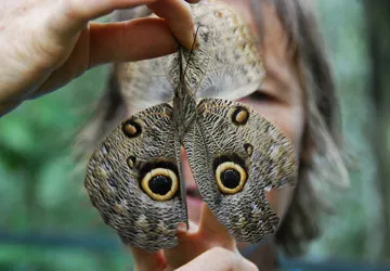Pilpintuwasi Butterfly Farm near Iquitos, Peru