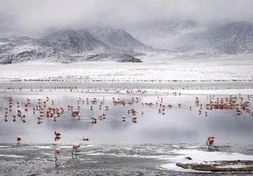 Uyuni Salar Tour in Bolivia