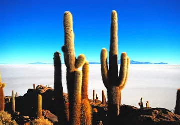 Uyuni Salar Tour in Bolivia