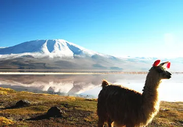 Uyuni Salar Tour in Bolivia