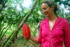 Cover. Cacao tree during chocolate tour in Peru.