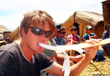 Sampling Totora on the Uros Islands of Lake Titicaca near Pu