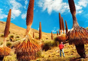 Huascaran National Park in Peru