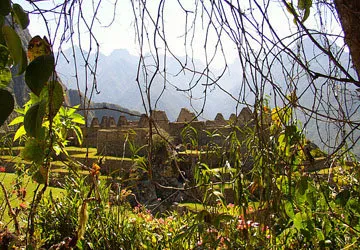 Machu Picchu seen through the vines in the Peruvian Andes.