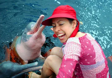 Pink and grey dolphins in the Amazon River in Peru