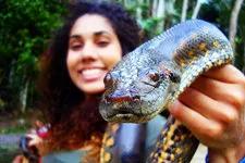 Cover. Snake handling in the Amazon Rainforest