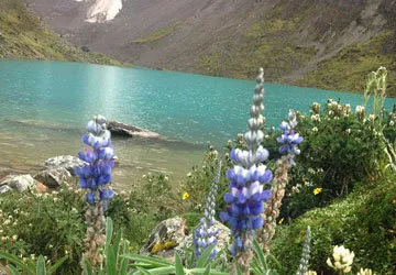 Salkantay Trek to Machu Picchu, near Cusco, Peru