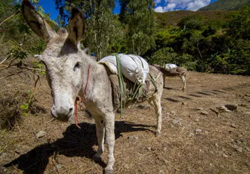 Salkantay Trek to Machu Picchu, near Cusco, Peru