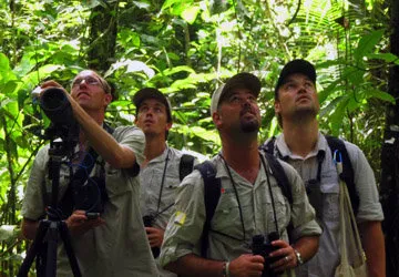 The winners of Birding Rally Peru Challenge, Tigrisoma