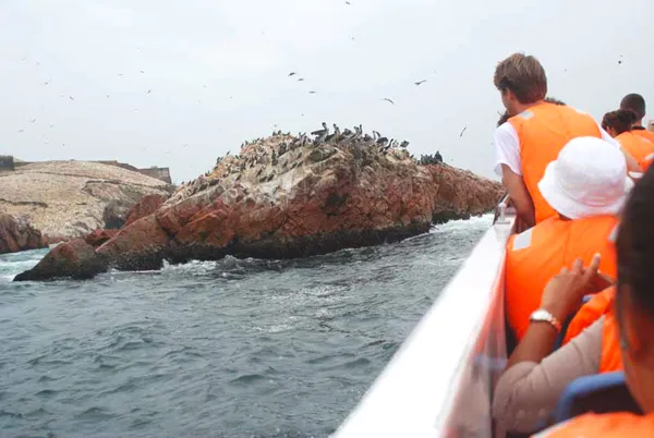 Paseo en bote por las islas Paracas