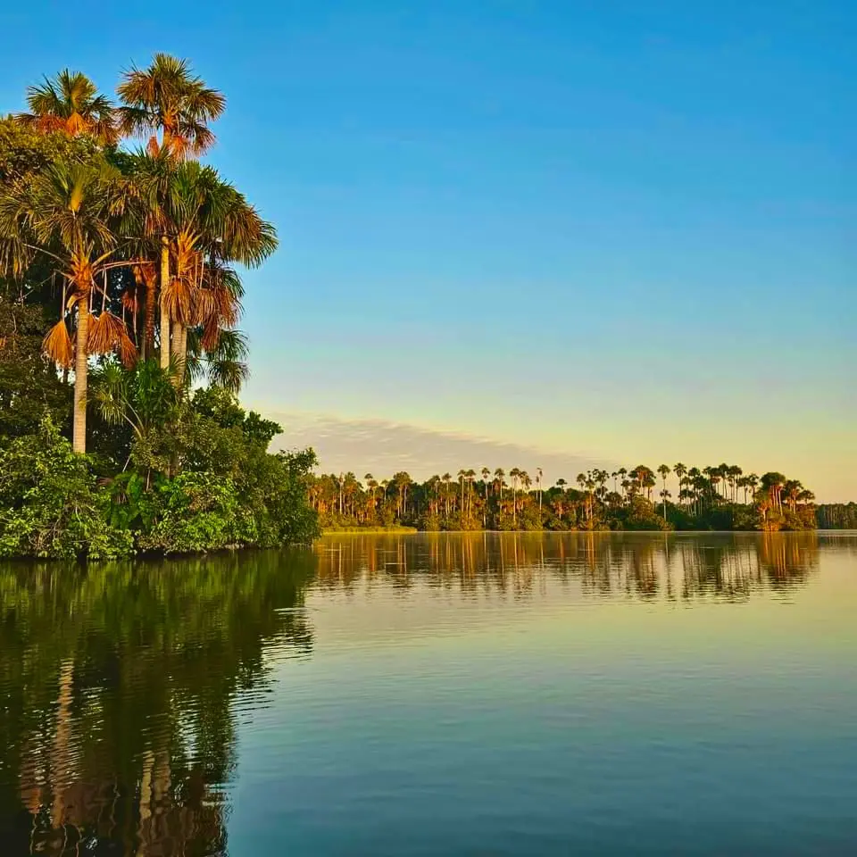 Lago Sandoval Isla de monos