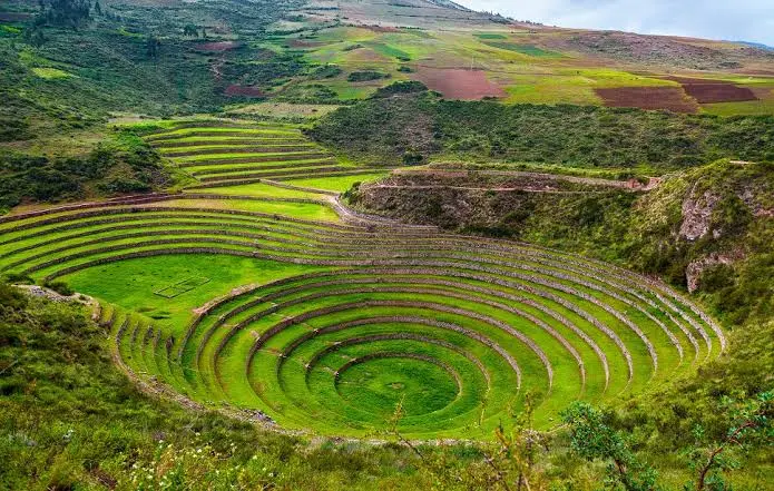 Moray 