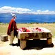 Haciendo culto en la isla del sol