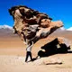 Formación rocosa en forma de arbol, Uyuni - Bolivia