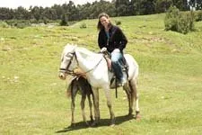 Montada en una yegua con su cría