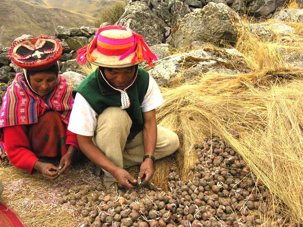 Caminata a Ausangate