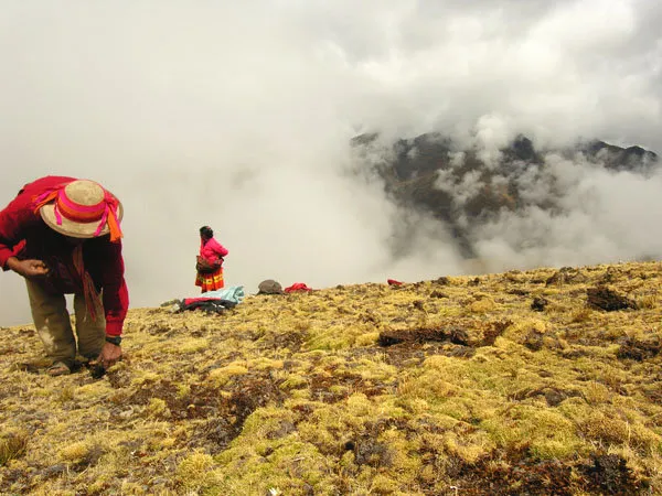 Caminata a Ausangate
