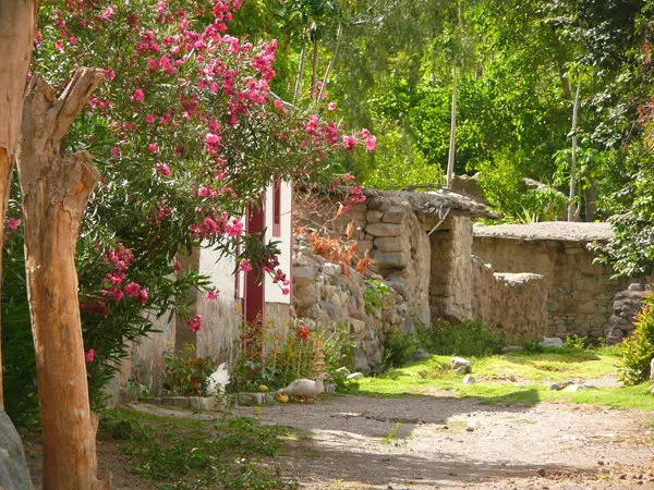 Caminata cañon Cotahuasi
