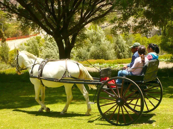 Tour campiñas Arequipa