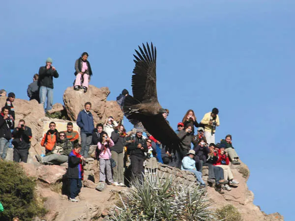 Caminata cañon Colca