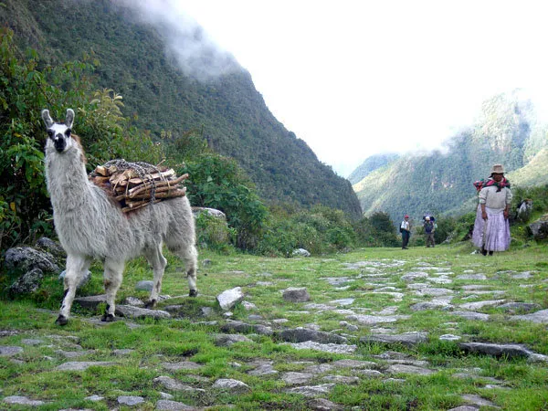 Caminata el Choro