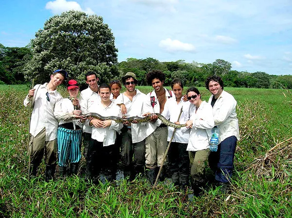 Selva y Pampas