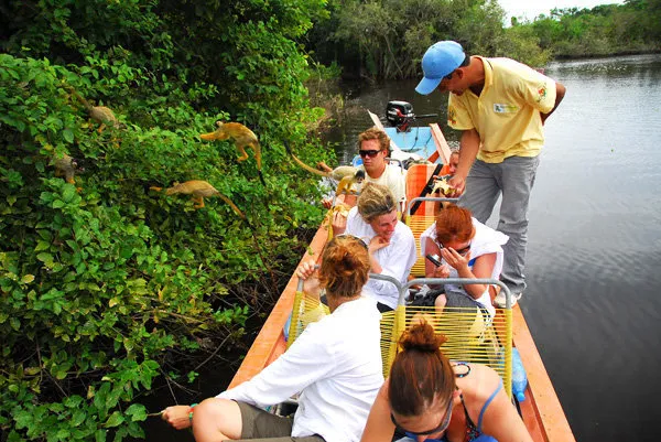 Paseo en bote donde se podrá tocar a monos amarillos