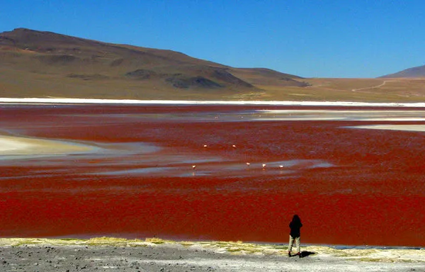 Salar de Uyuni