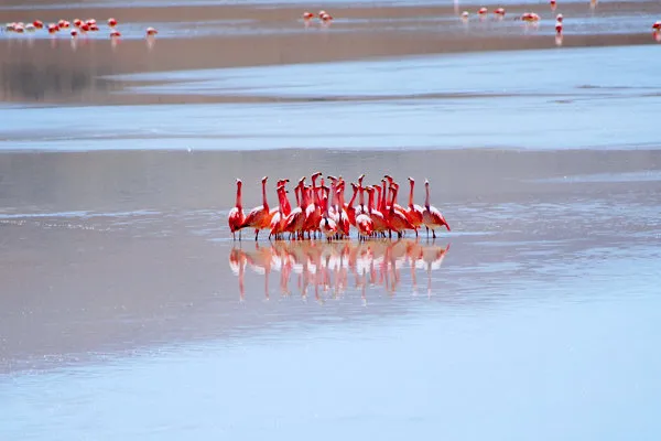 Salar de Uyuni