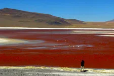 Vista panorámica de la laguna colorada, Uyuni