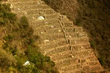 Llamas grazing along the terraces of the Inca ruins of Choqu