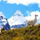 The snow-capped peak of Tuni Pico Austria near La Paz, Boliv