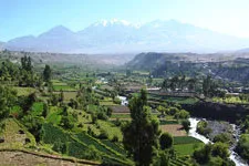 Sown fields of the lush Arequipa countryside in Peru
