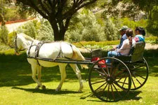 Horse and carriage ride in the scenic Arequipa countryside i