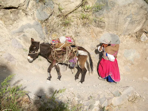 2 Day Colca Canyon