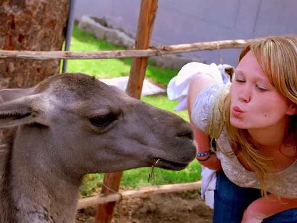 Weaving Demonstration Willoq