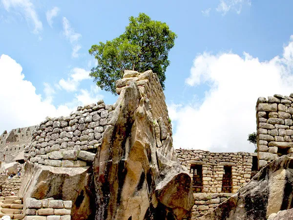 Machu Picchu Full Day