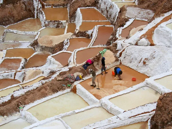 Horseback Riding Maras Moray