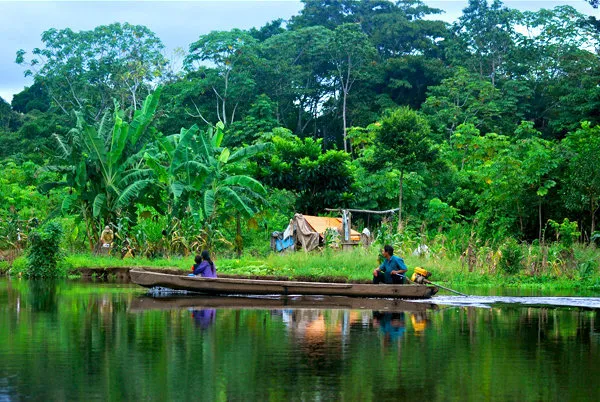 Bolivia Marshlands