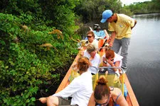 Watching boats from the river boat in the Bolivia marshlands