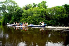 Boat ride through the Bolivia Amazon jungle near Rurrenabaqu