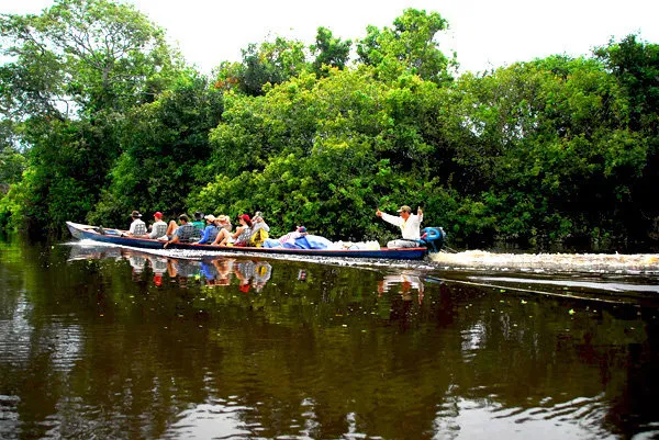 Bolivia Jungle Tour