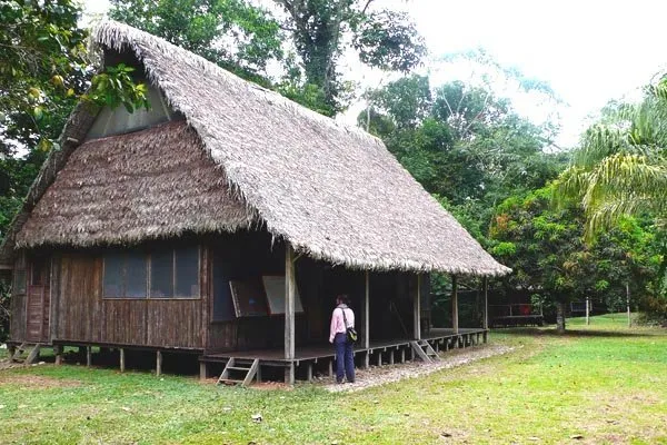 Eslabon Chalalan Jungle